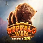 pg-soft-buffalo-win_min